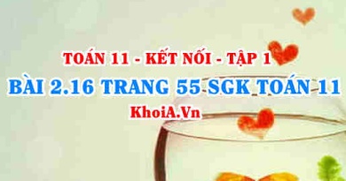 Bài 2.16 trang 55 SGK Toán 11 tập 1 Kết nối tri thức